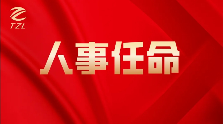 关于同泽青岛分公司人事任命的通知